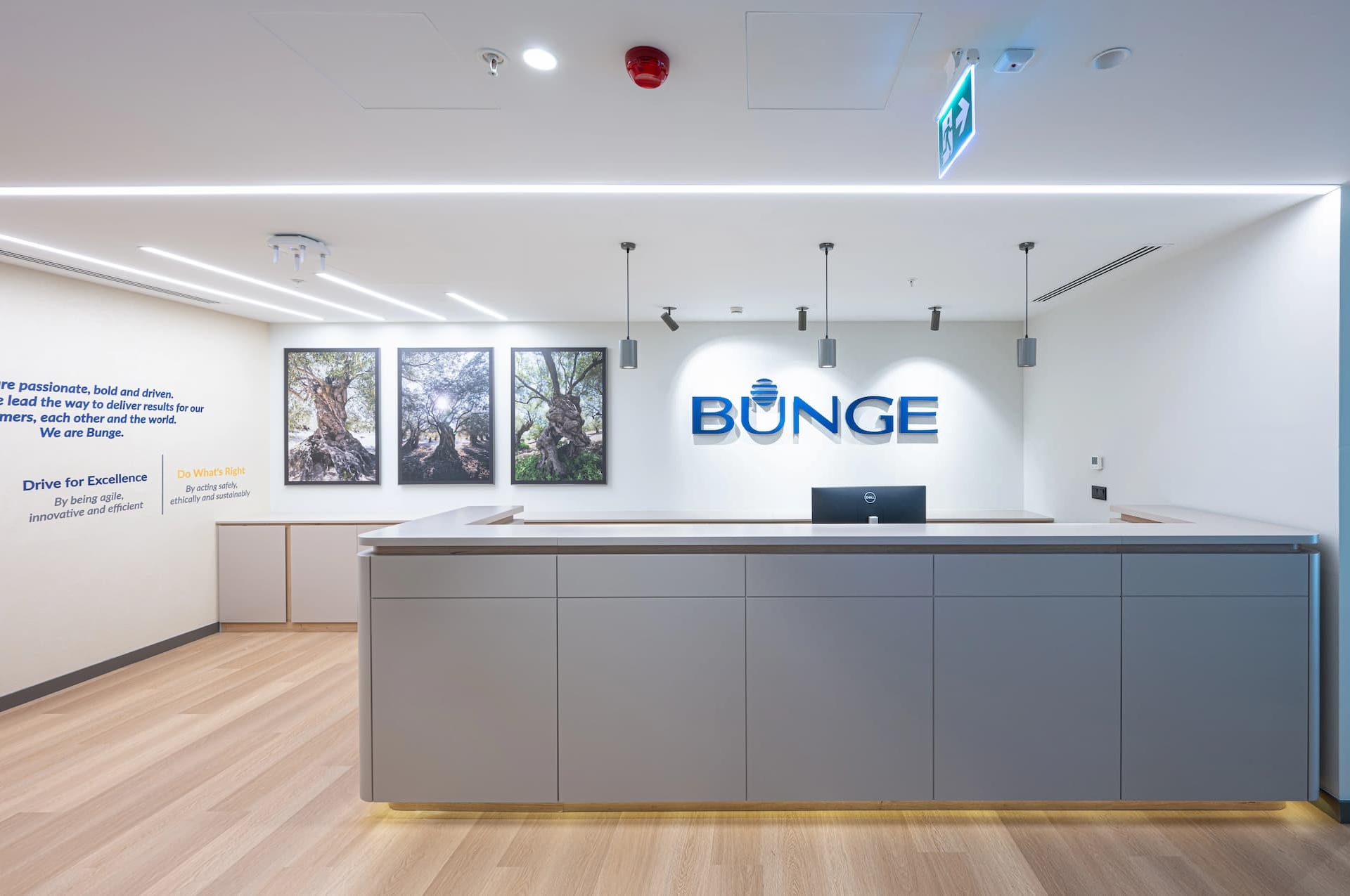 BUNGE GIDA - Genel Müdürlük Ofis